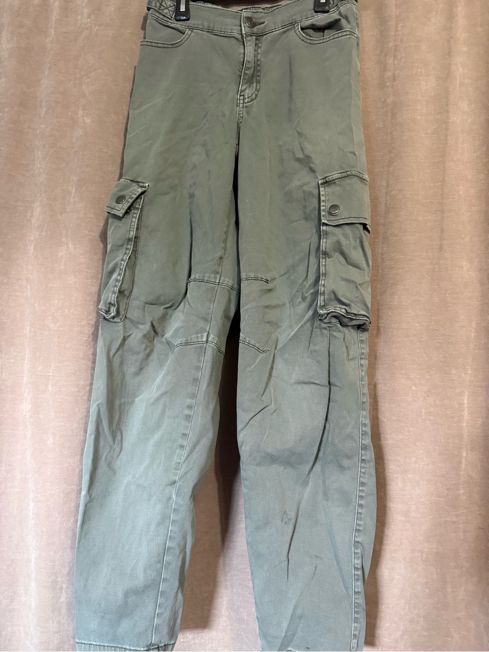 wild fable Olive Green Cargo Pants